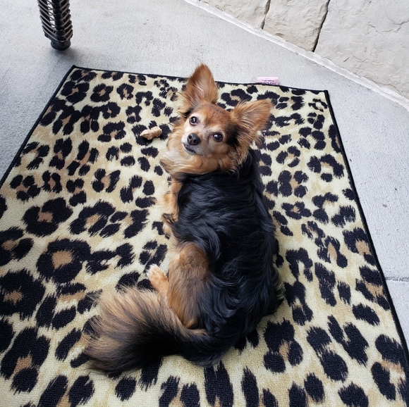 Meet your Posher, Nicole - Picture 3 of 3